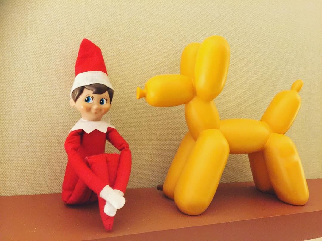We introduced our pup, #broadwaybrodie to the #elfontheshelf  Can you help us #n…