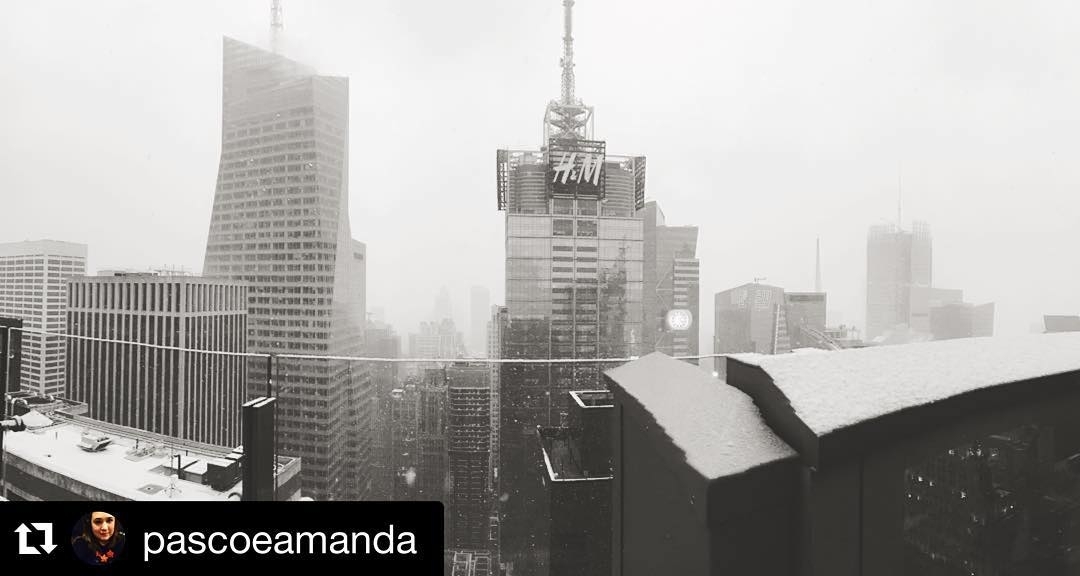 #RePost of the #FirstSnow in #nyc this year. #blissful #beautiful #View #InAHyat…
