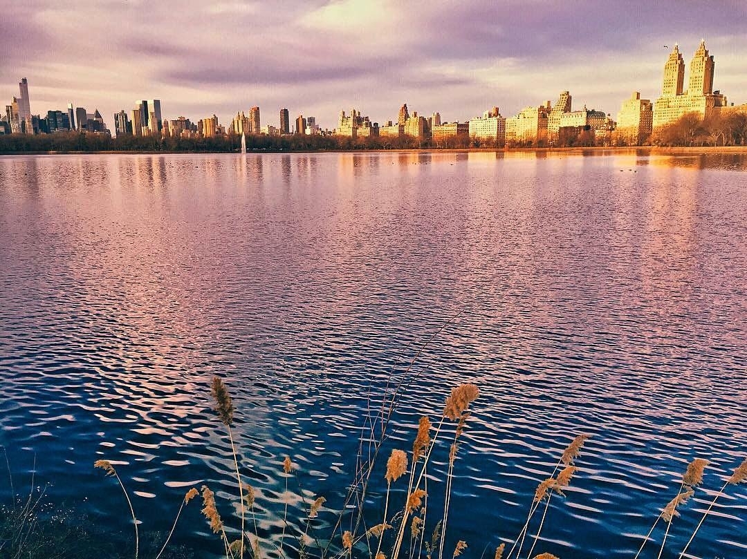 Do you have time to see this #Beauty @centralparknyc  by @blairolivia #Nature #C…