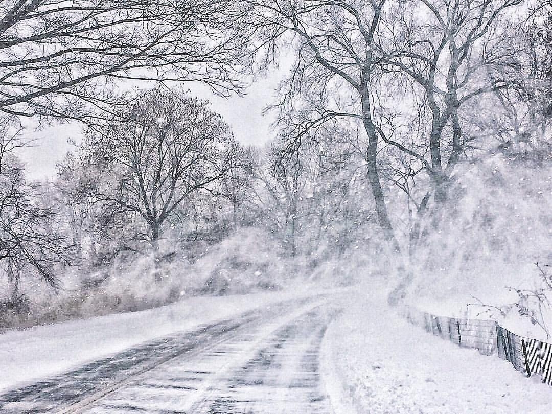 #GustOfWind  @centralparknycby @blairolivia on #snowpacalypse #inahyattworld #20…