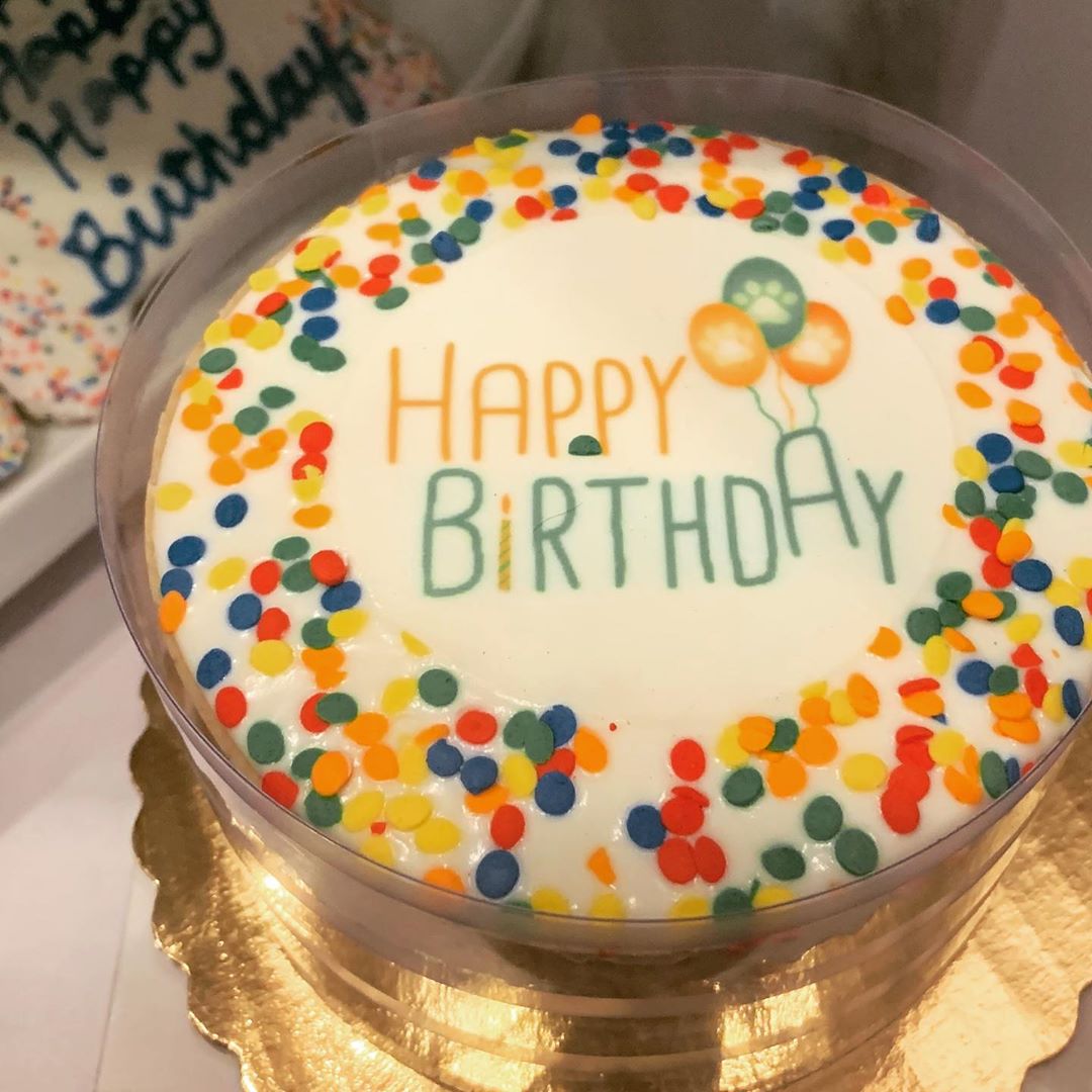 Celebrating your pups Birthday, head over and check out my new BAKERY case!  #ny…