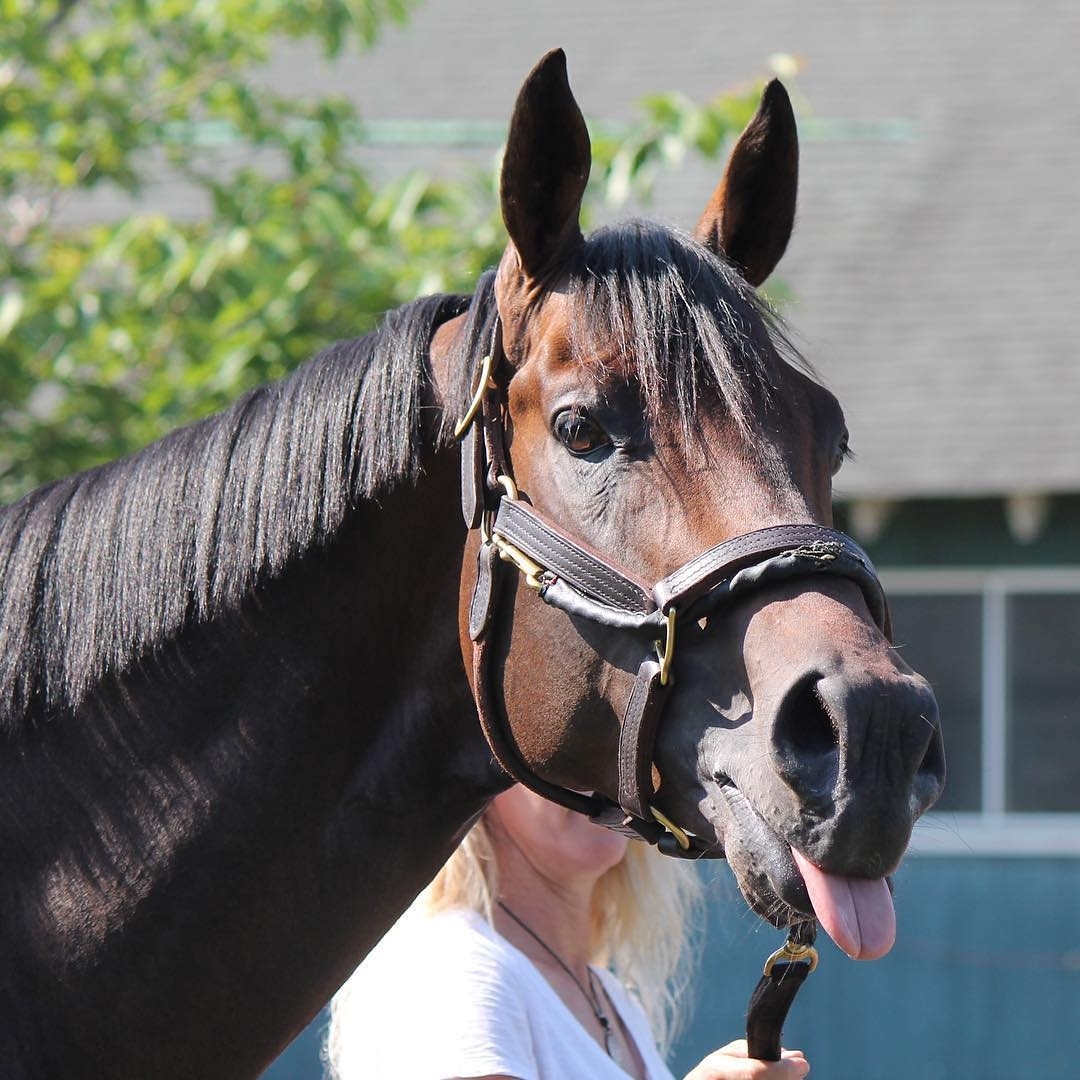 On this day, your local #NewYorker will head over to the @belmontstakes in #Fash…