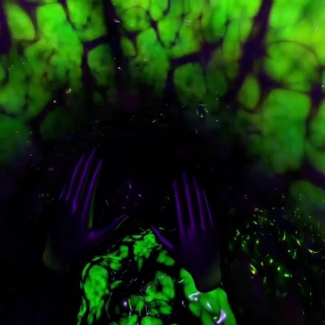 Introducing the most gory, slimy immerive maze and riddle experience, enter The …
