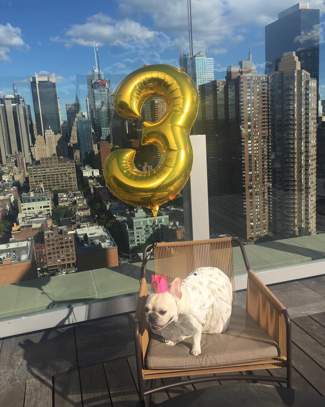 Happy 3rd SoHo! We love you so much and will never be able to put into words wha…