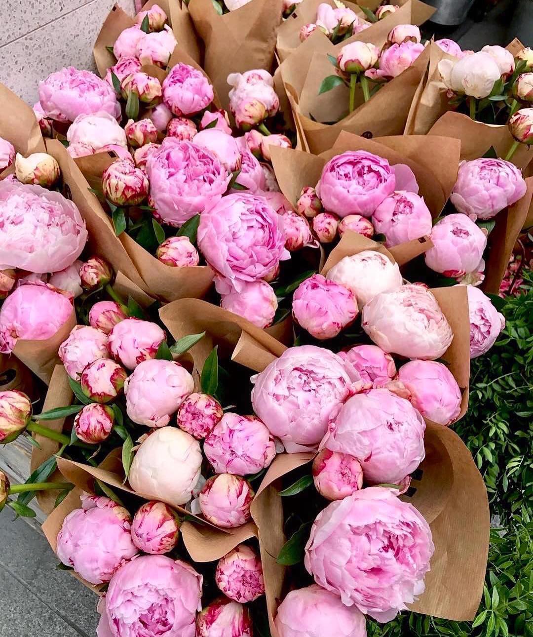 We can’t wait to wake up early in the morning to go to the floral market selecti…