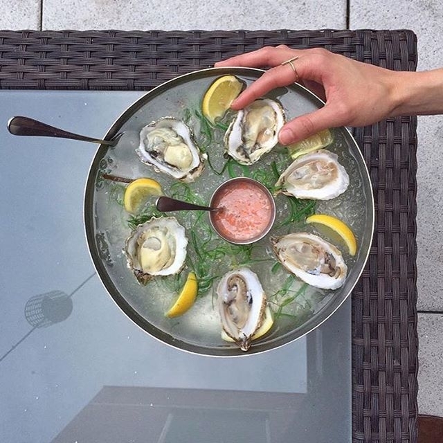 It’s that time again. Bringing back oysters…. #rooftopbarsnyc #nyclife #nycnight…