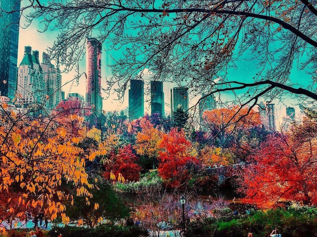Our #magical #place in #newyork #by @blairolivia #inahyattworld #seeyourcity #hy…