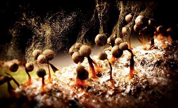 In the near future, Nature has turned wild and devastated Planet Earth. Human be…