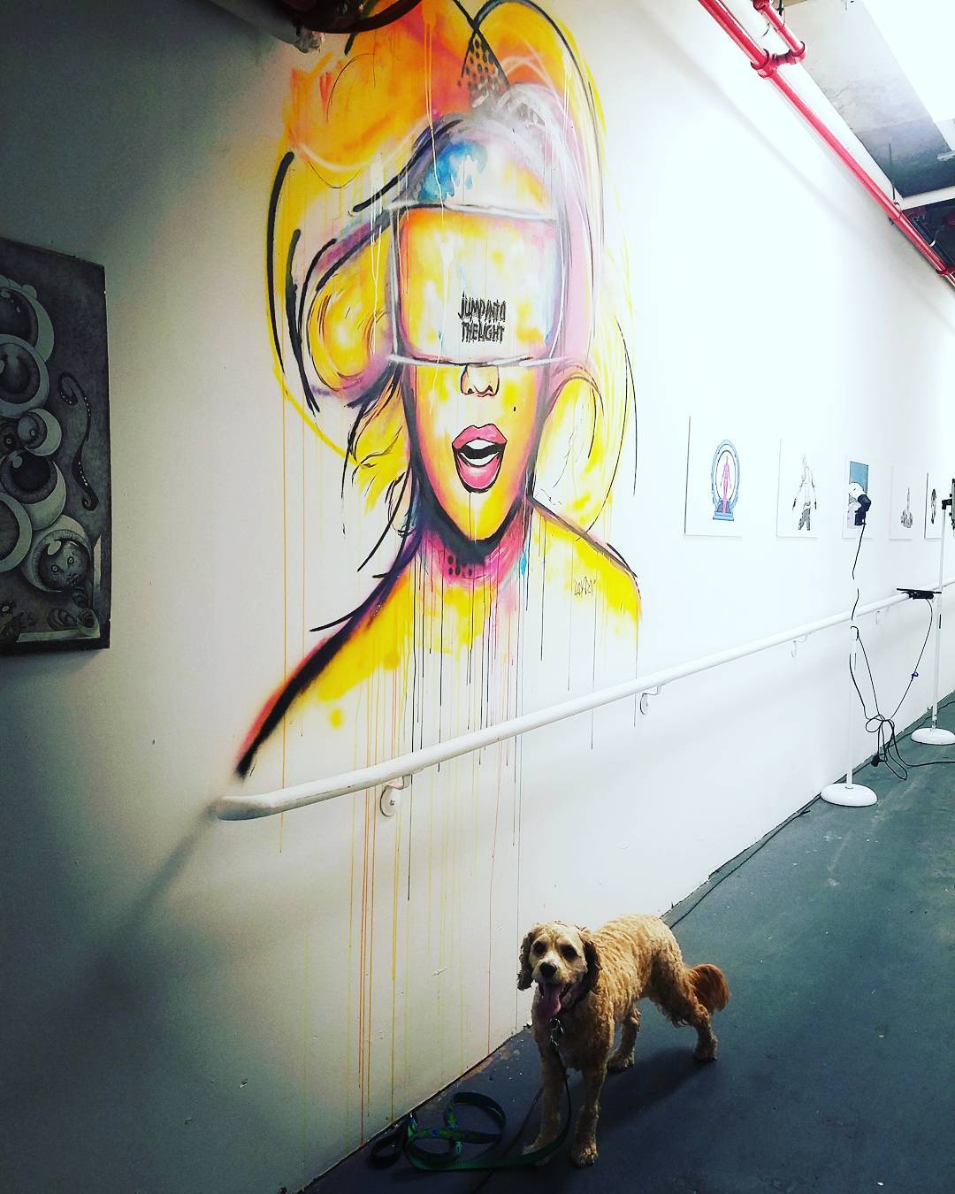 This cute pup @artdognyc came back to check out the wall art by @ladyjday and #A…