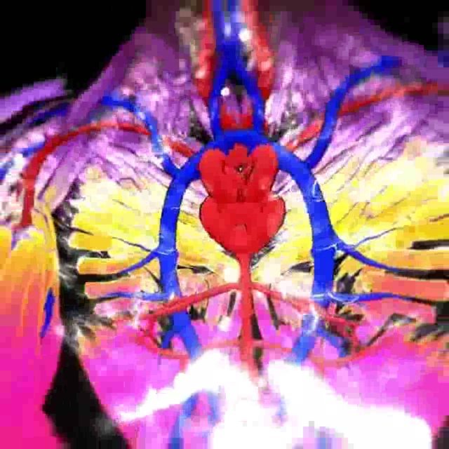 Anatomical Heart  –  experiemtal drawing in #tiltbrush by our resident artist @l…