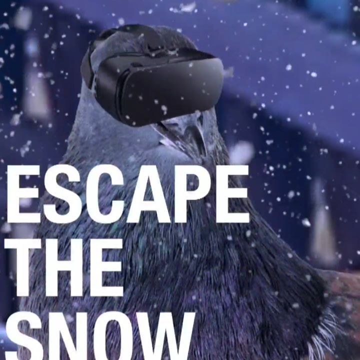 Escape the snow and jump into the light!
Play tons of VR games and get warm
.
.
…