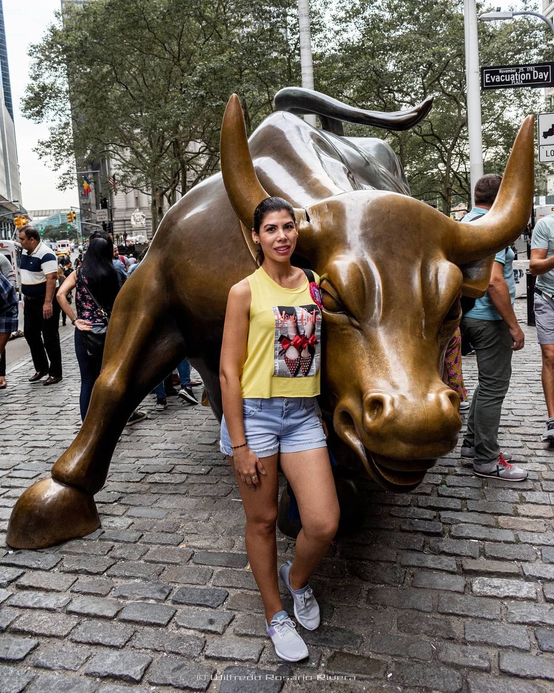 “Charging Bull”🦬 Estatua de Bronze ubicada en el Distrito financiero de Manhatta…