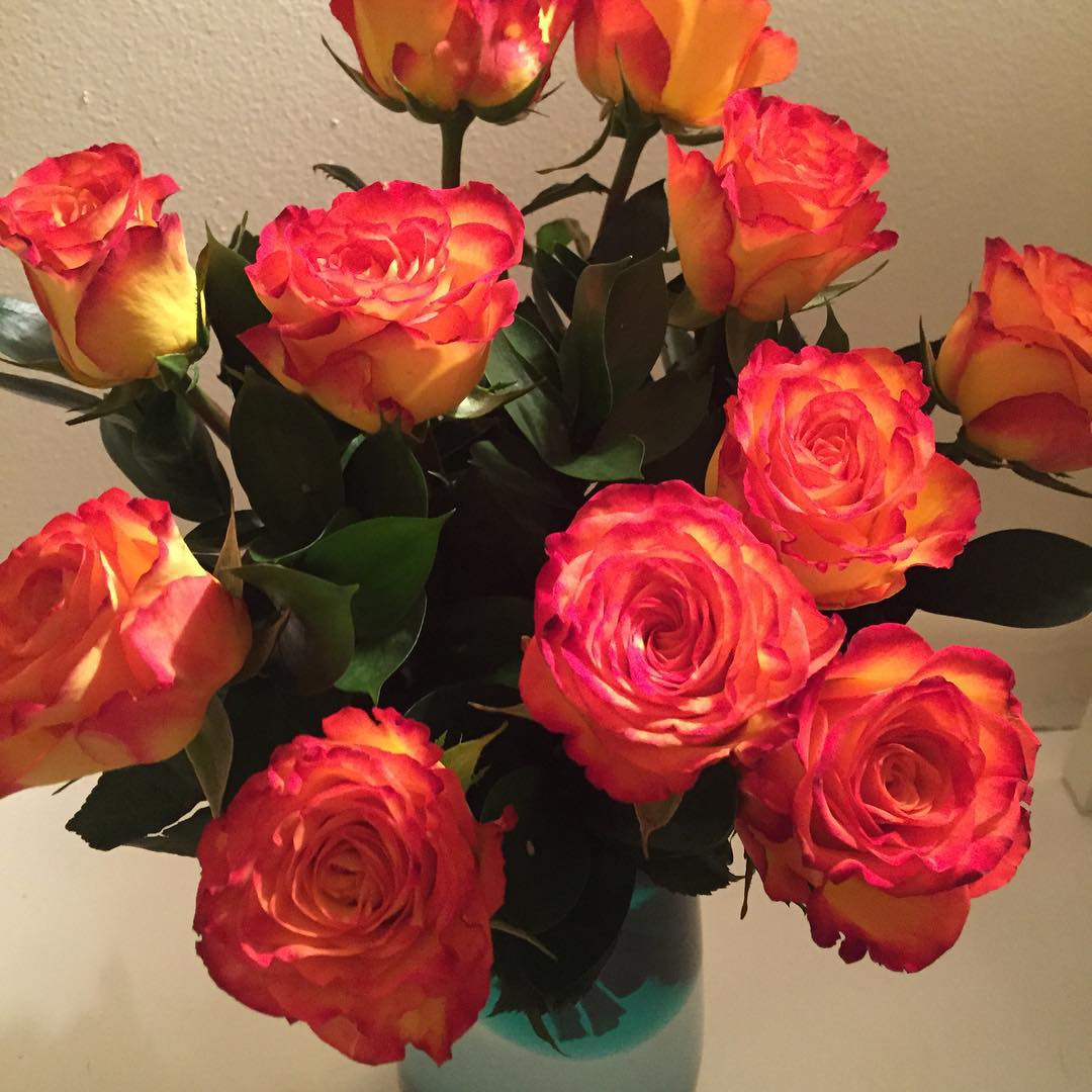 Love love roses. Thank you beautiful daughter @chloevdc and @odealarose #odealar…