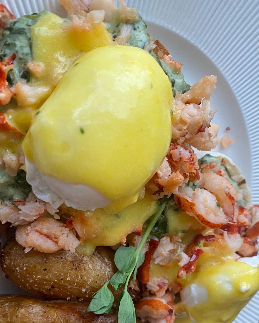 Lobster Benedict served the right way.  
.⁣
.⁣
.⁣
.⁣
#centralparkeats #lobsterbe…