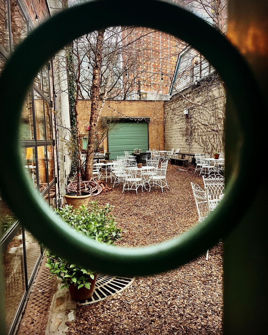 We cannot wait for our garden to open….