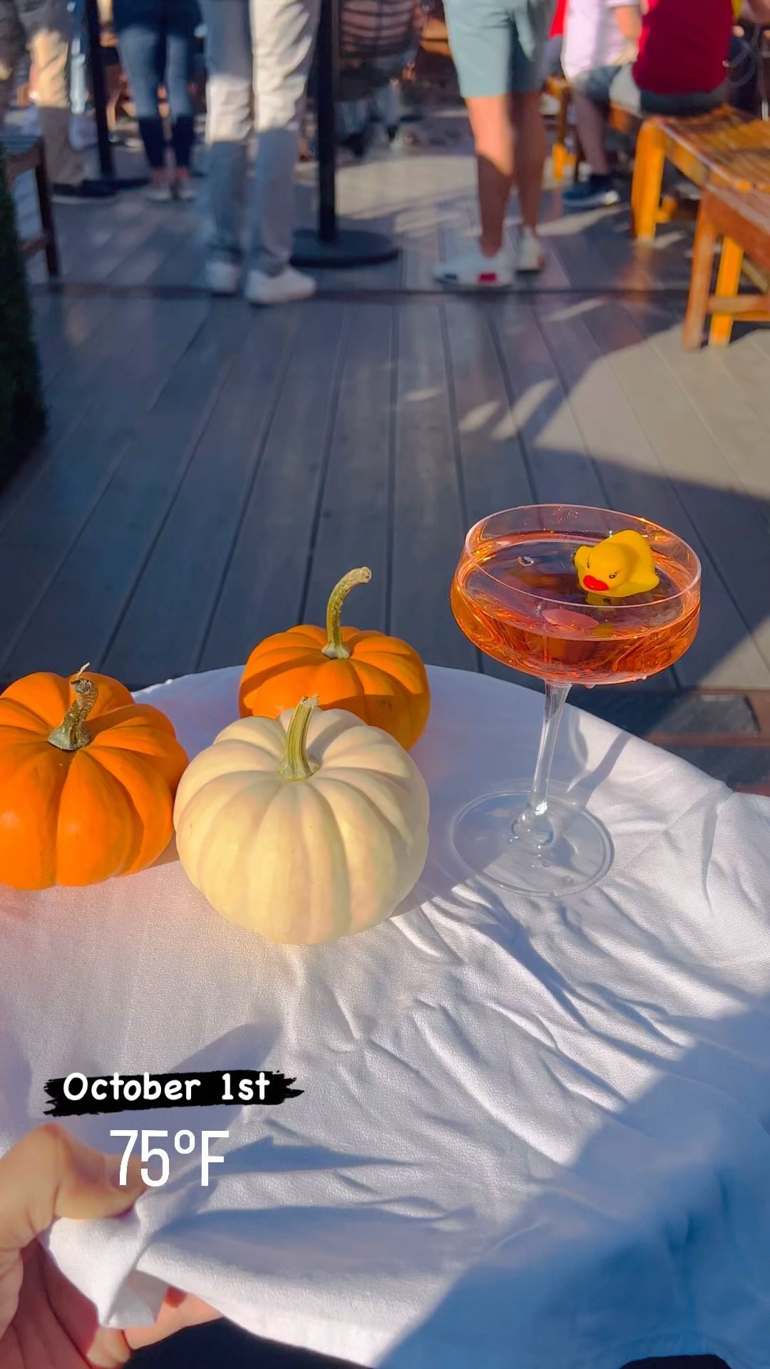 Sunny afternoons are perfect for a rooftop cocktail.
.
.
#230fifth #230fifthroof…